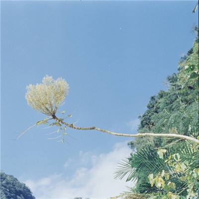 剑舞封神手游官方(暂未上线)v1.1 安卓版